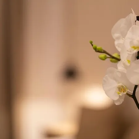 Boutique 32 3* Dénia