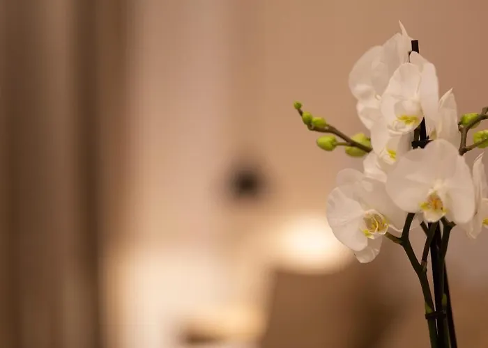 Boutique 32 3* Denia